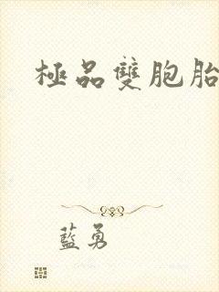 极品双胞胎老婆封面