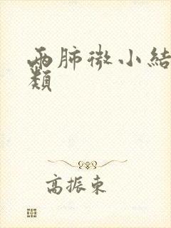 两肺微小结节2类