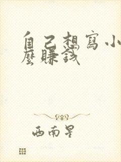 自己想写小说怎么赚钱