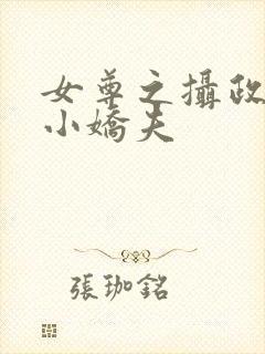 女尊之摄政王的小娇夫