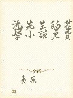 沈先生的花式教学小说免费