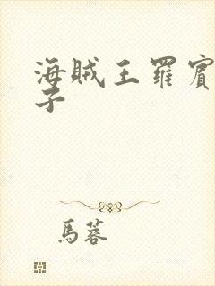 海贼王罗宾 本子