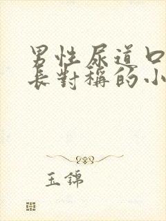 男性尿道口两侧长对称的小疙瘩