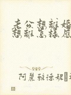 老公想离婚我不想离怎样应对封面