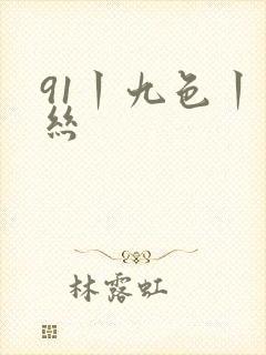 91丨九色丨肉丝