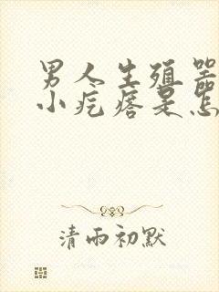 男人生殖器长满小疙瘩是怎么回事