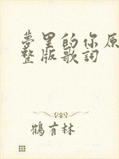 梦里的你原唱完整版歌词