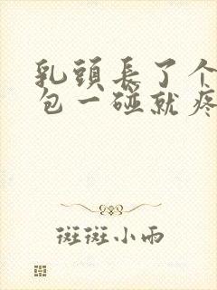 乳头长了个红色包一碰就疼封面