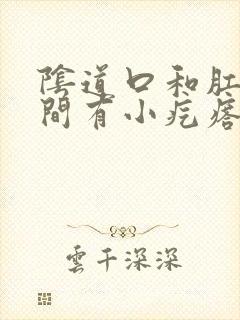 阴道口和肛门之间有小疙瘩