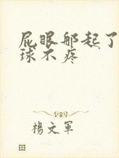 屁眼那起了个肉球不疼封面