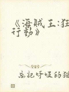 《海贼王:狂热行动》