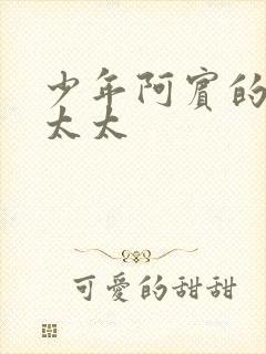 少年阿宾的房东太太封面