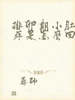 排卵期小肚子坠疼是怎么回事封面