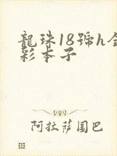 龙珠18号h全彩本子