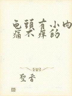 龟头有小肉粒不痛不痒的