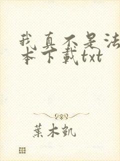 我真不是法爷全本下载txt