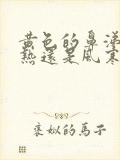 黄色的鼻涕是风热还是风寒封面