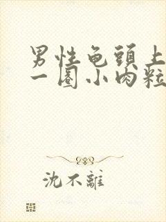 男性龟头上长了一圈小肉粒是什么封面