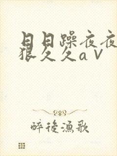 日日躁夜夜躁狠狠久久a∨
