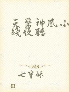 天医神凰小说在线收听