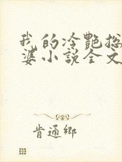 我的冷艳总裁老婆小说全文阅读封面