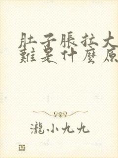 肚子胀拉大便困难是什么原因