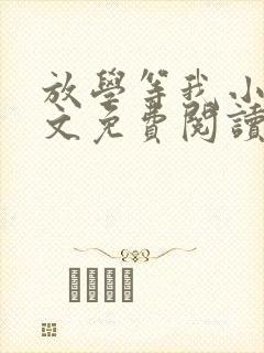 放学等我小说全文免费阅读未删减封面