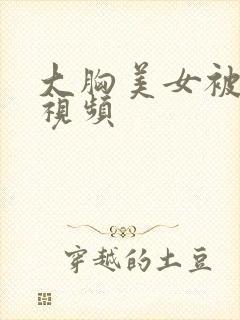 大胸美女被捏胸视频