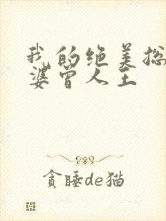 我的绝美总裁老婆曾人王封面