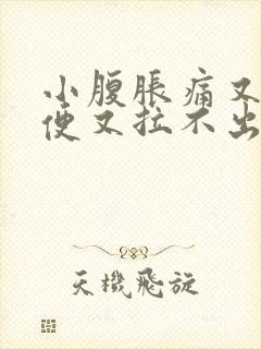 小腹胀痛又想大便又拉不出来