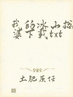 我的冰山总裁老婆下载txt