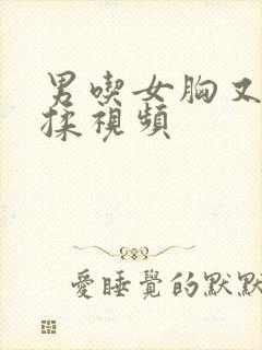 男吃女胸又摸又揉视频