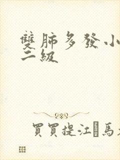 双肺多发小结节二级