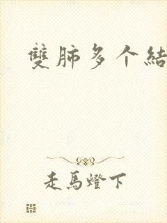 双肺多个结节影封面