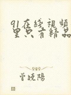 91在线视频这里只有精品