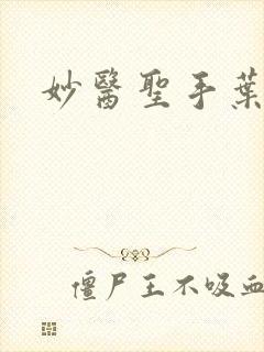 妙医圣手叶皓轩