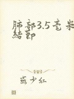 肺部3.5毫米结节封面