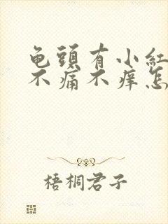 龟头有小红疙瘩不痛不痒怎么回事封面