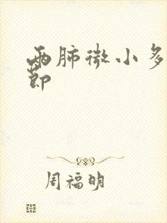 两肺微小多发结节