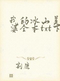 我的冰山美女老婆全本txt下载