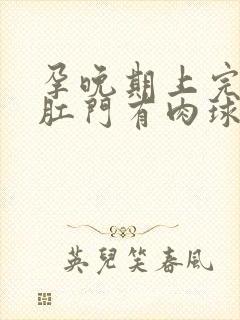 孕晚期上完大便肛门有肉球