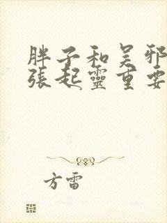 胖子和吴邪谁对张起灵重要