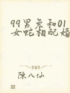 99男兔和01女蛇相配婚姻如何