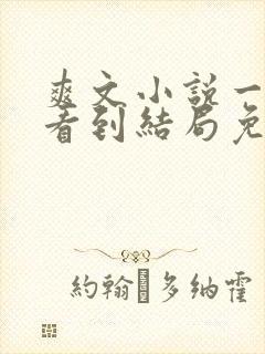 爽文小说一口气看到结局免费封面