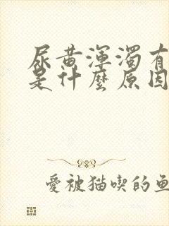 尿黄浑浊有异味是什么原因引起的