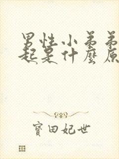 男性小弟弟硬不起是什么原因