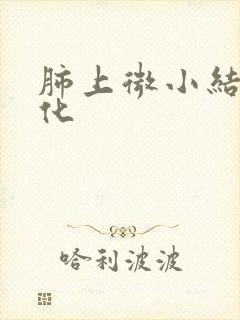 肺上微小结节钙化