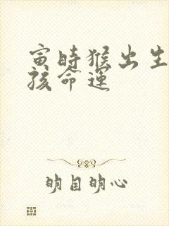 寅时猴出生的男孩命运