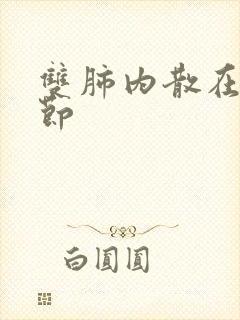 双肺内散在小结节封面