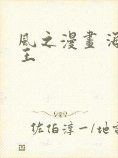 风之漫画 海贼王封面